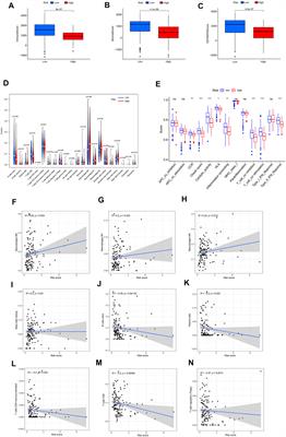 A Novel Ferroptosis-Related lncRNAs Signature Predicts Clinical Prognosis and Is Associated With Immune Landscape in Pancreatic Cancer